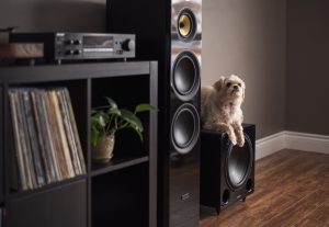 How to Set the Phase and Crossover Frequency on Your Subwoofer